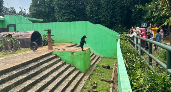 Taman Margasatwa Ragunan Klarifikasi Dugaan Korupsi Pakan Hewan yang Viral